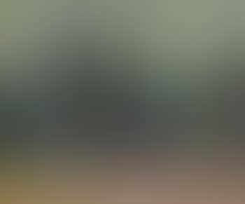 Beach - Lake of Two Rivers, Algonquin Park, Ont (preview)