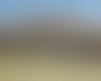 Shoalhaven landscape (preview)