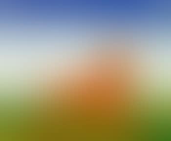 Ohne Titel (Dackel) (preview)