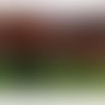 Sous bois (preview)