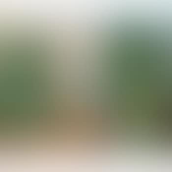 Paysage (preview)