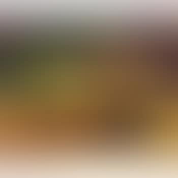Nature morte (preview)
