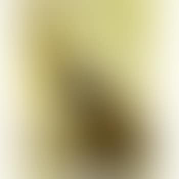 Le singe (preview)