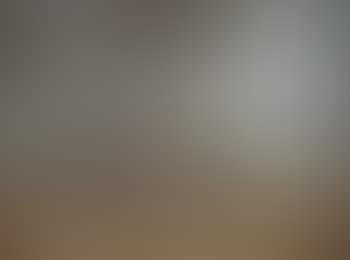 Afternoon light (preview)