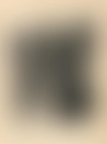 L 120 (preview)