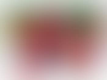 Heliconia (preview)