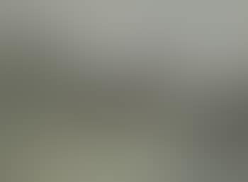 Deer in landscape (preview)