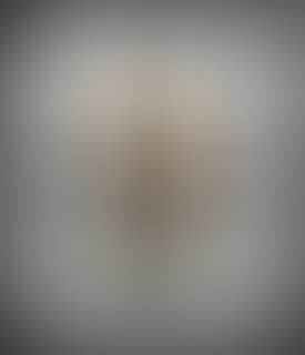 Carne Amont 6 (preview)