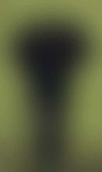 Narcisses mauves (preview)