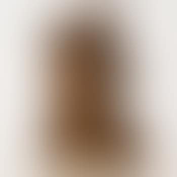 Sculpture (preview)