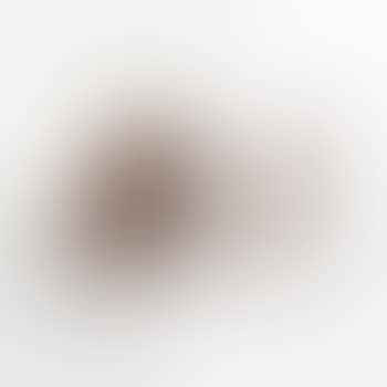 [Untitled] (preview)