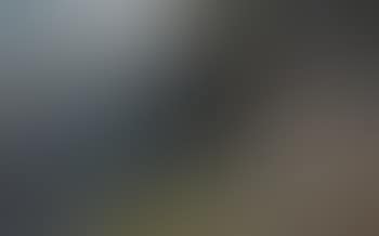 Gebirgslandschaft mit Bäumen (preview)