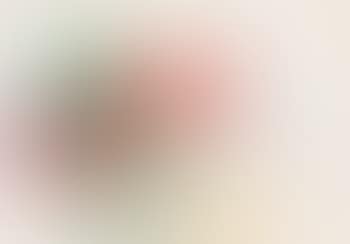 Rosenaquarell (preview)