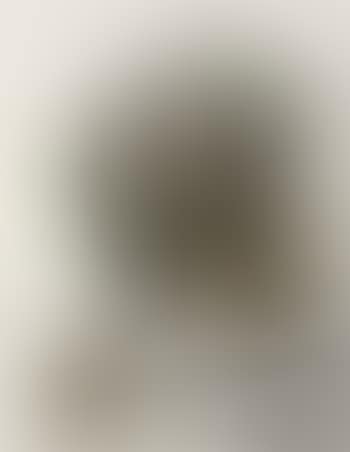 Sans titre (preview)