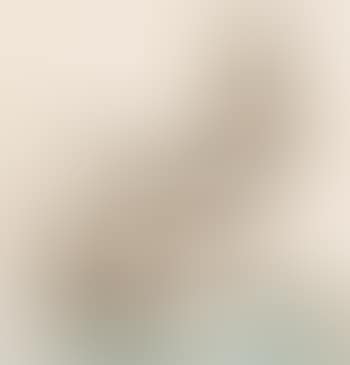 Nus (preview)