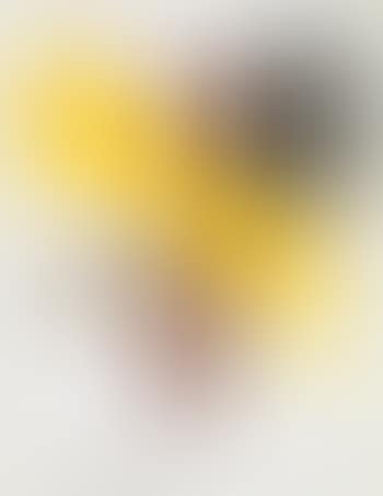 O.T. (preview)