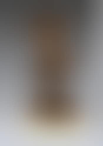 Caballo loco (preview)