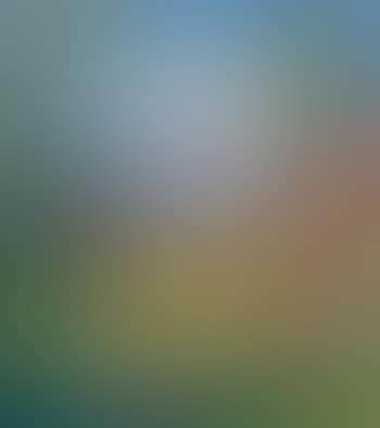Autumn morning (preview)