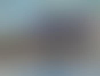 The lake shore near Montreux (preview)