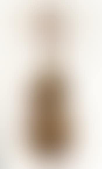 Violon (preview)