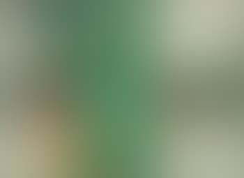Algae (preview)