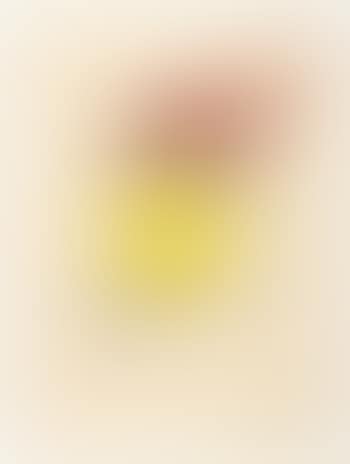 La main jaune (preview)