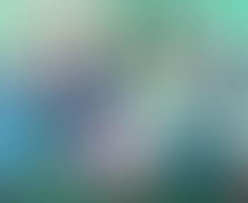 Composition (preview)