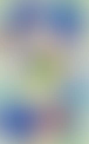 Untitled (preview)