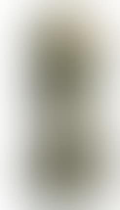 Figure (preview)