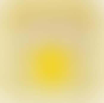 Study for Homage to The Square: Two Yellows with Silvergray (preview)