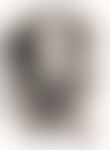Ohne Titel (Die Flasche) (preview)