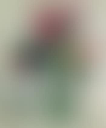 Stillleben mit Rosen (preview)