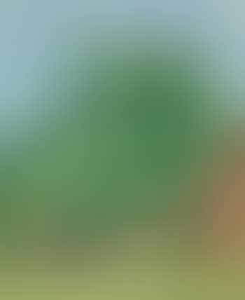 Scheune mit Heustock (preview)