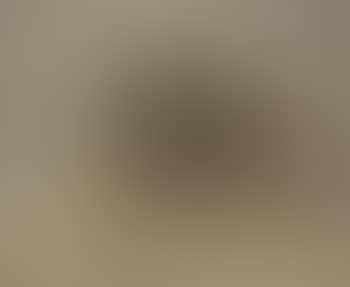 Untitled (landscape with building) (preview)