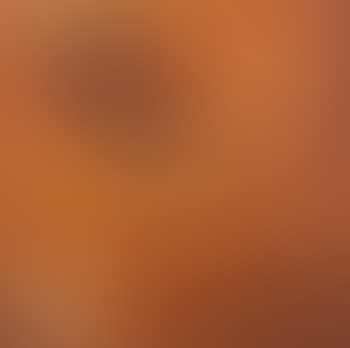 La Terre (preview)