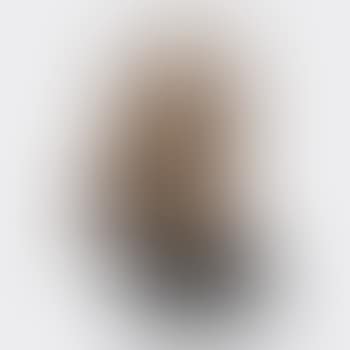 Portrait of the Maharanee of Baroda (preview)
