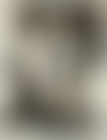 Le Rabbin (preview)