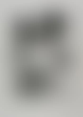 Untitled (SFE.292, 292A) (preview)