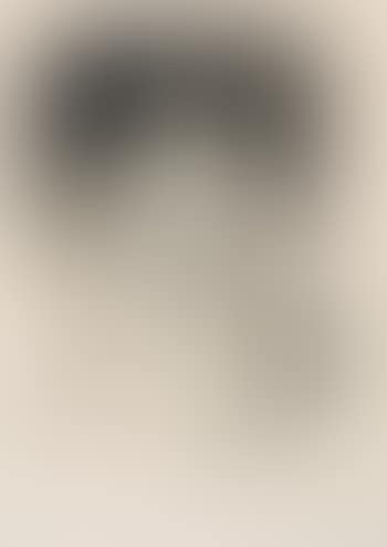 Portrait de Sigismund (preview)