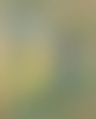 Paysage d'été (preview)