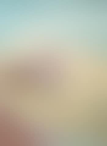 Venice (preview)