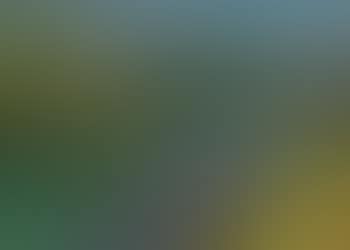 Paysage (preview)