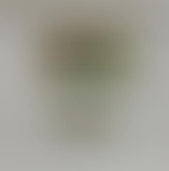 Ohne Titel (preview)