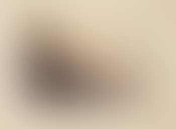 Sans titre (preview)