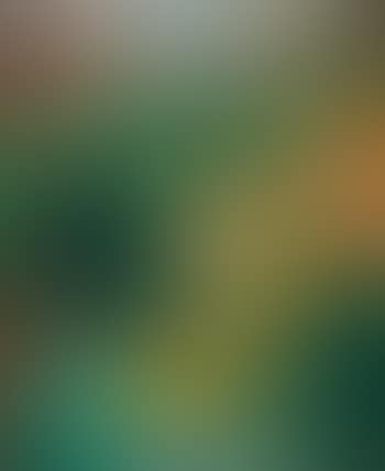 Landscape (preview)