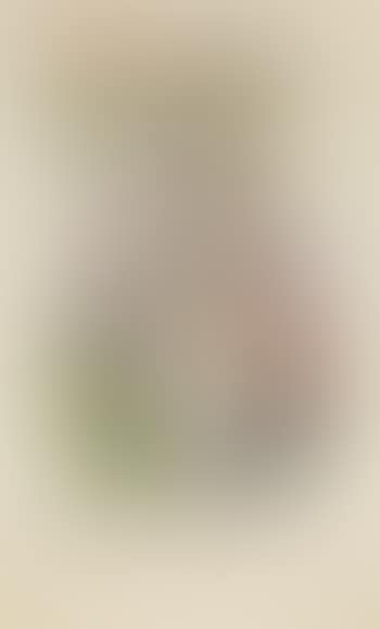 Danseuse, violon, pomme de pin (preview)