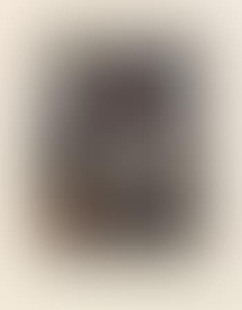Le laid; Le cheminée; La mort en chemin; Le blessé; L'orage; Le rêveur; Le grenier; L'apparition; Les derniers beaux jours; Femme en bustier; La morte; Le balcon; Le laboratoire; Le Palais-Royal;… (preview)