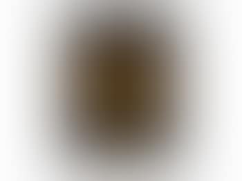 Untitled (Sunflower) (preview)