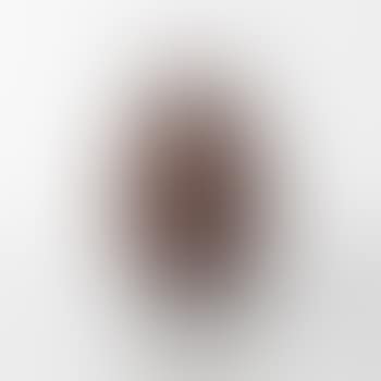Oeuf (preview)