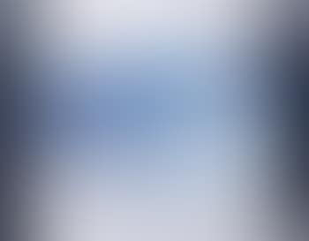 Untitled (Grey Goose) (preview)